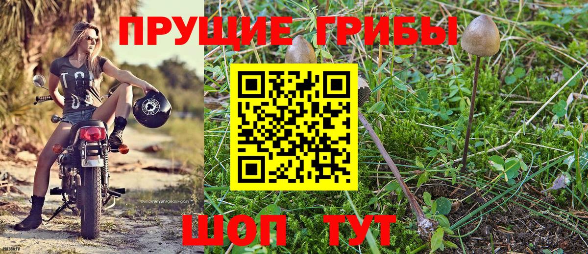 Галлюциногенные грибы прущие грибы Кудымкар